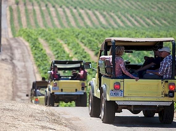 A group of people riding open-top jeeps on a dirt road through a vineyard, enjoying a sunny countryside excursion.