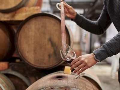 A person pouring wine into a glass over a barrel in a wine cellar, with a small bottle stopper resting on the barrel.