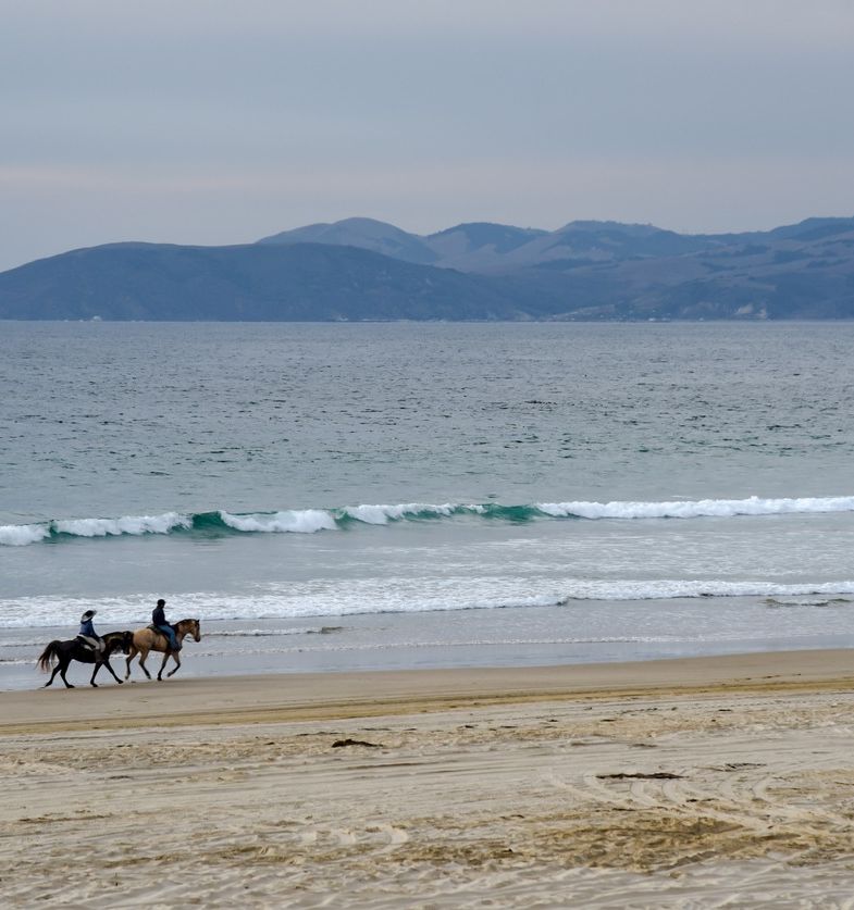 Two riders on horses walk along a sandy beach with waves rolling in, and distant mountains rise on the horizon.
