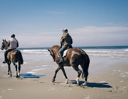 Two helmeted riders on horseback trot along a sandy beach with waves under a clear sky.