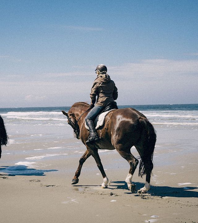 Two helmeted riders on horseback trot along a sandy beach with waves under a clear sky.